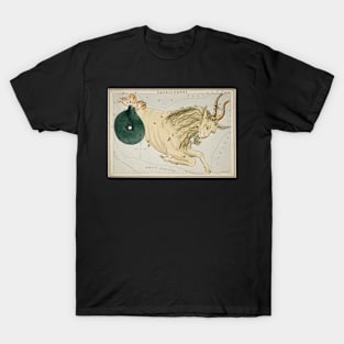 Capricorn T-Shirt